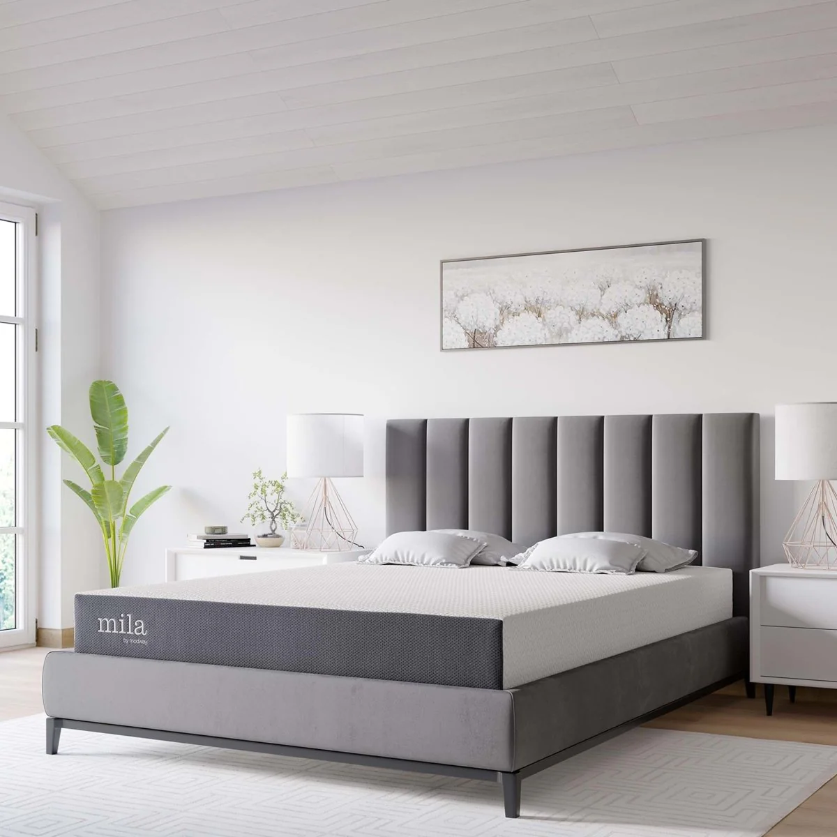 Product image 123